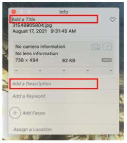 screenshot with title and description identified
