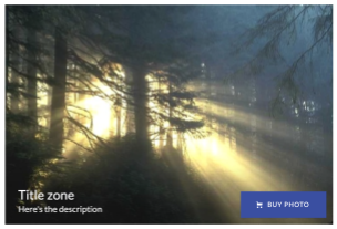 screenshot of SmugMug display