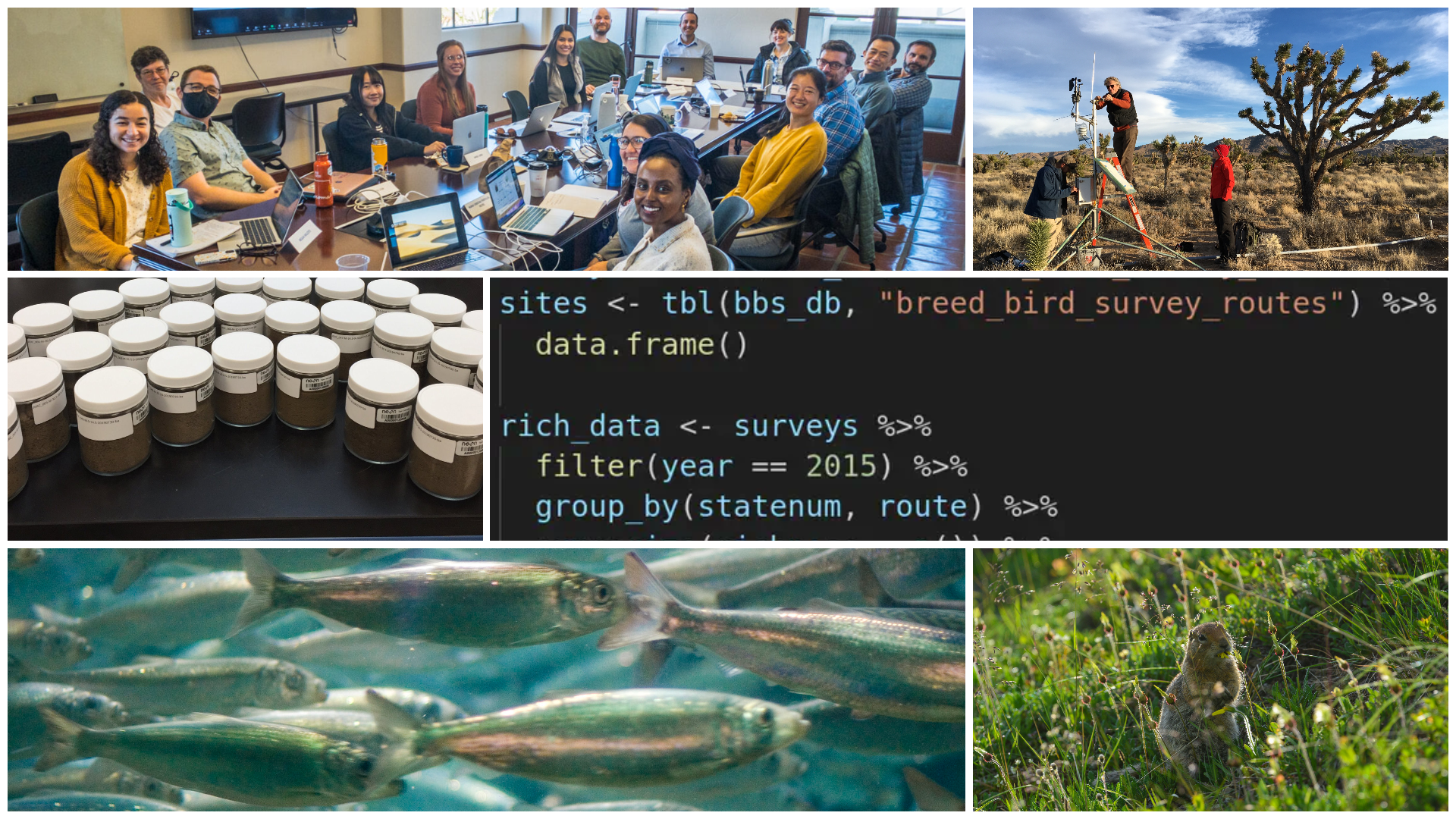 Photo collage of people meeting at a long table, people conducting fieldwork, some specimen jars, a snippet of code, some fish, and a small mammal