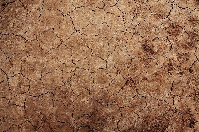 dried, cracked soil crust