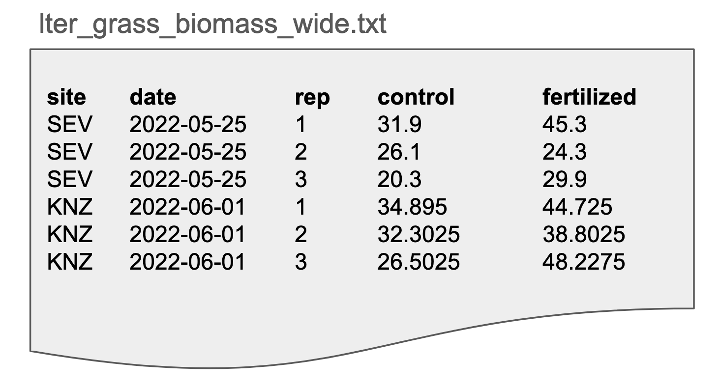 An example of tidy data in wide format