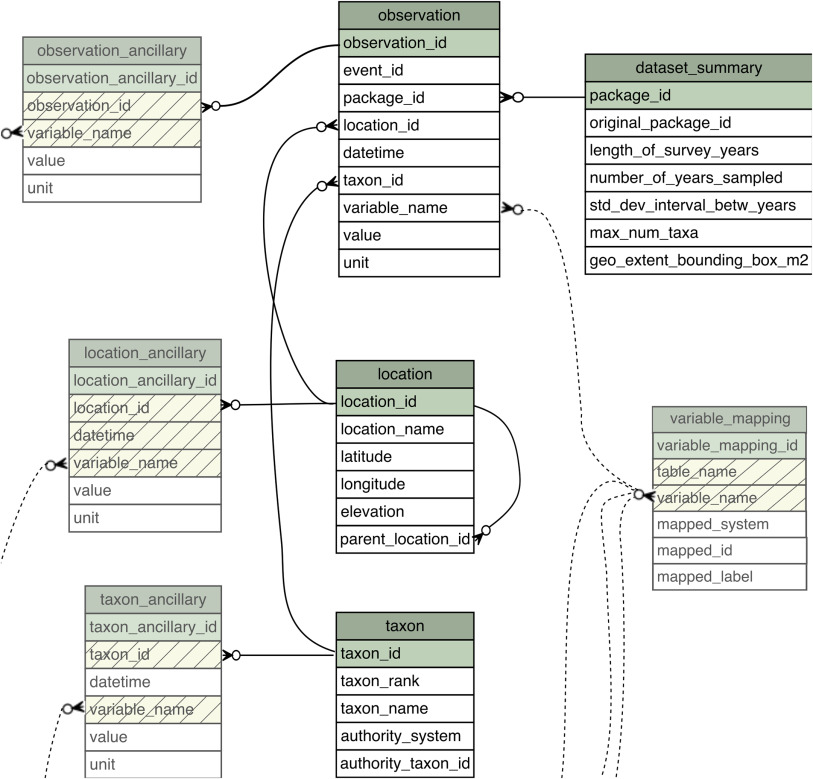 Another example of a relational set of tables implicitly connected by shared index columns. Curved lines indicate which tables are connected to one another and which columns define that relationship