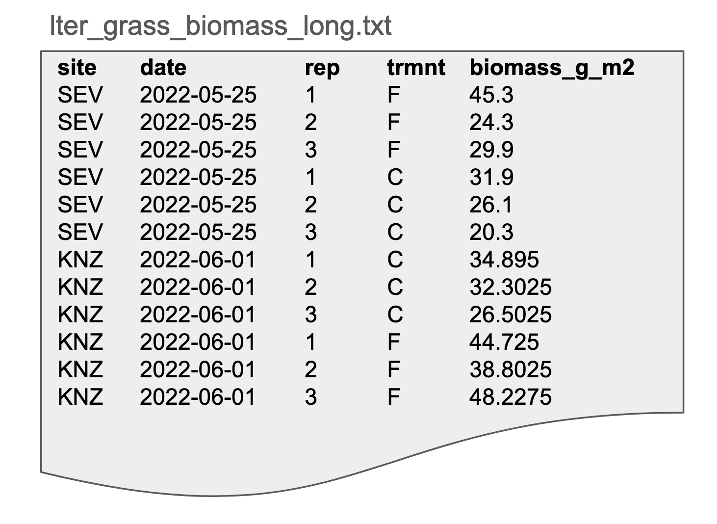 An example of tidy data in long format