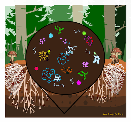 graphic of tree, microbes, fungi, and forest soils