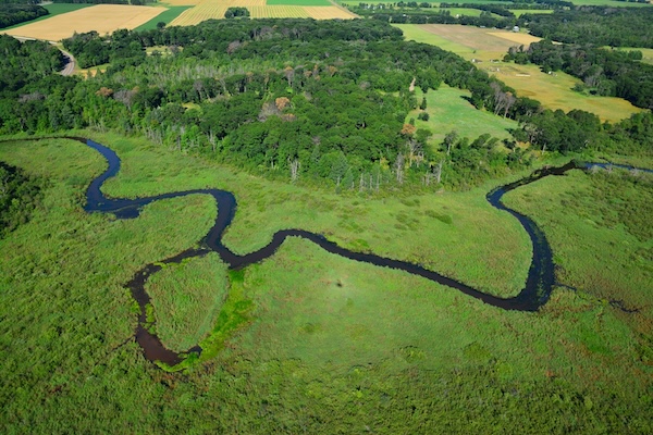 meandering stream through wetlands and forests