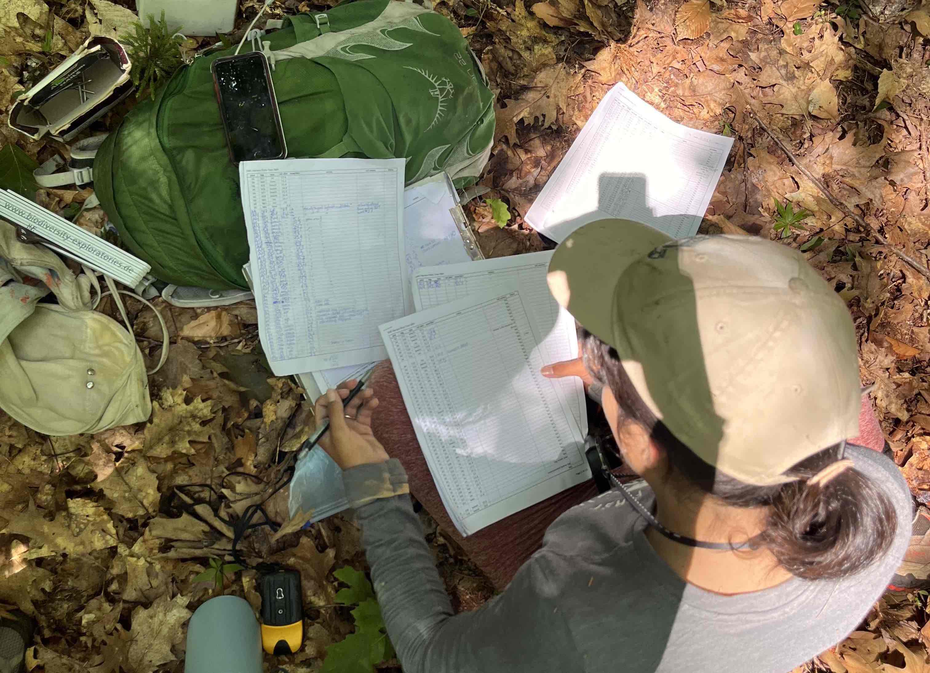 Photo of a person wearing a hat sitting on the forest floor with datasheets spread across their lap