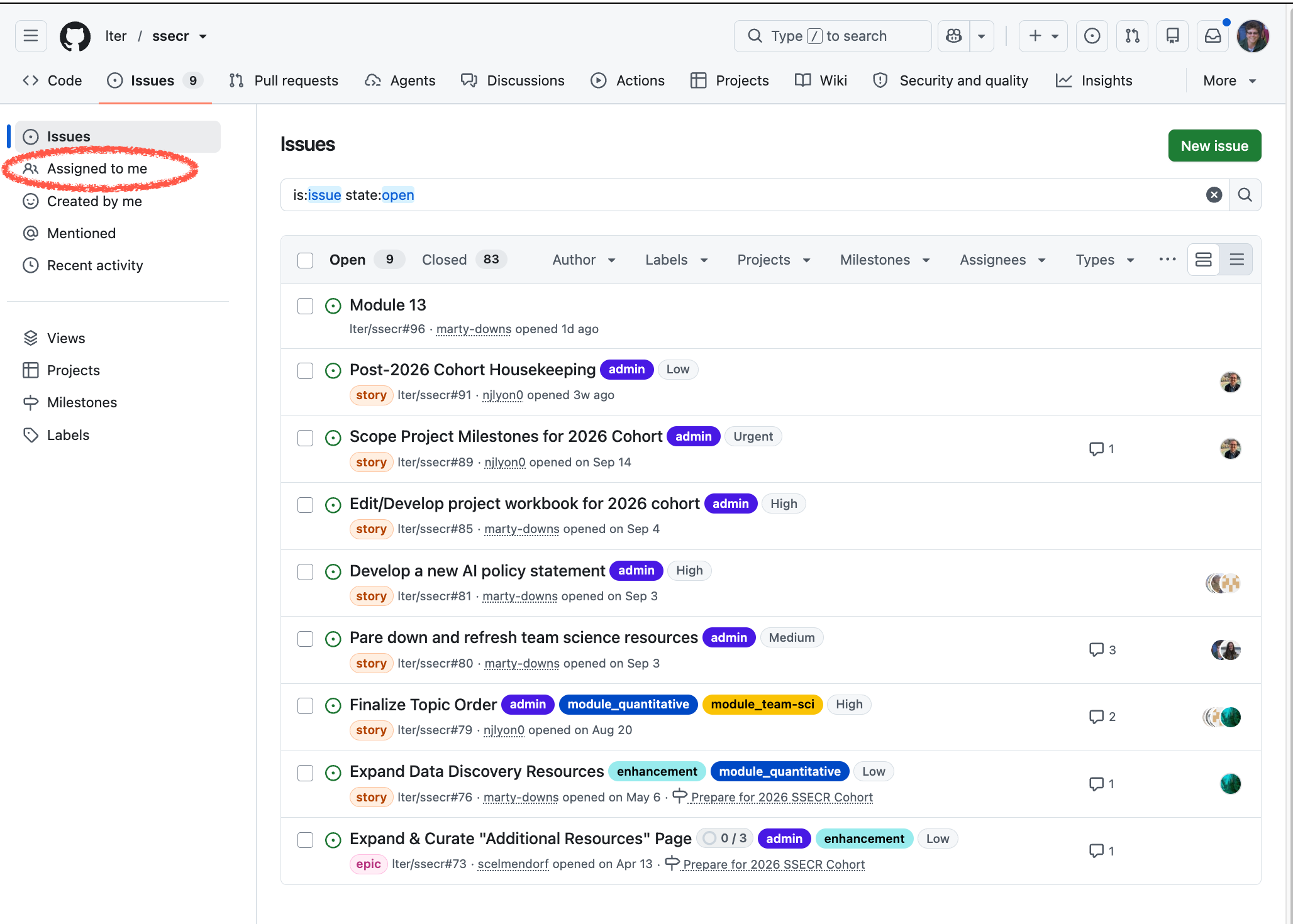 an issue list, filtered by the assigned user