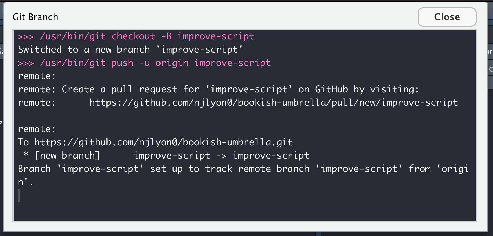 Screenshot of the text returned when you create a branch in RStudio