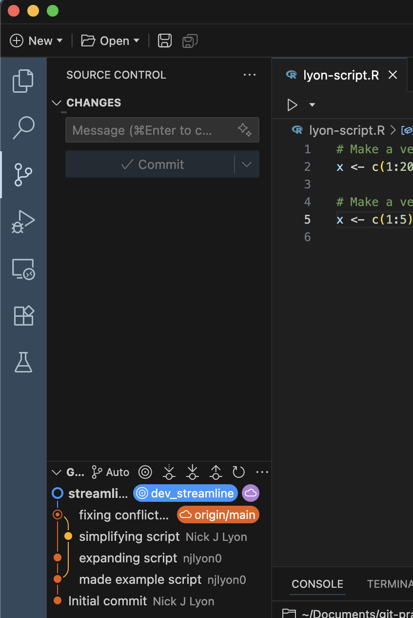 Screenshot of the Positron 'source control' pane after a new branch has been published