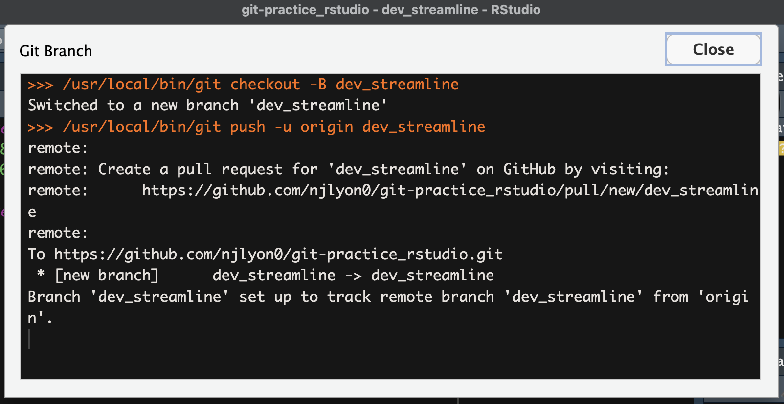 Screenshot of the text returned when you create a branch in RStudio