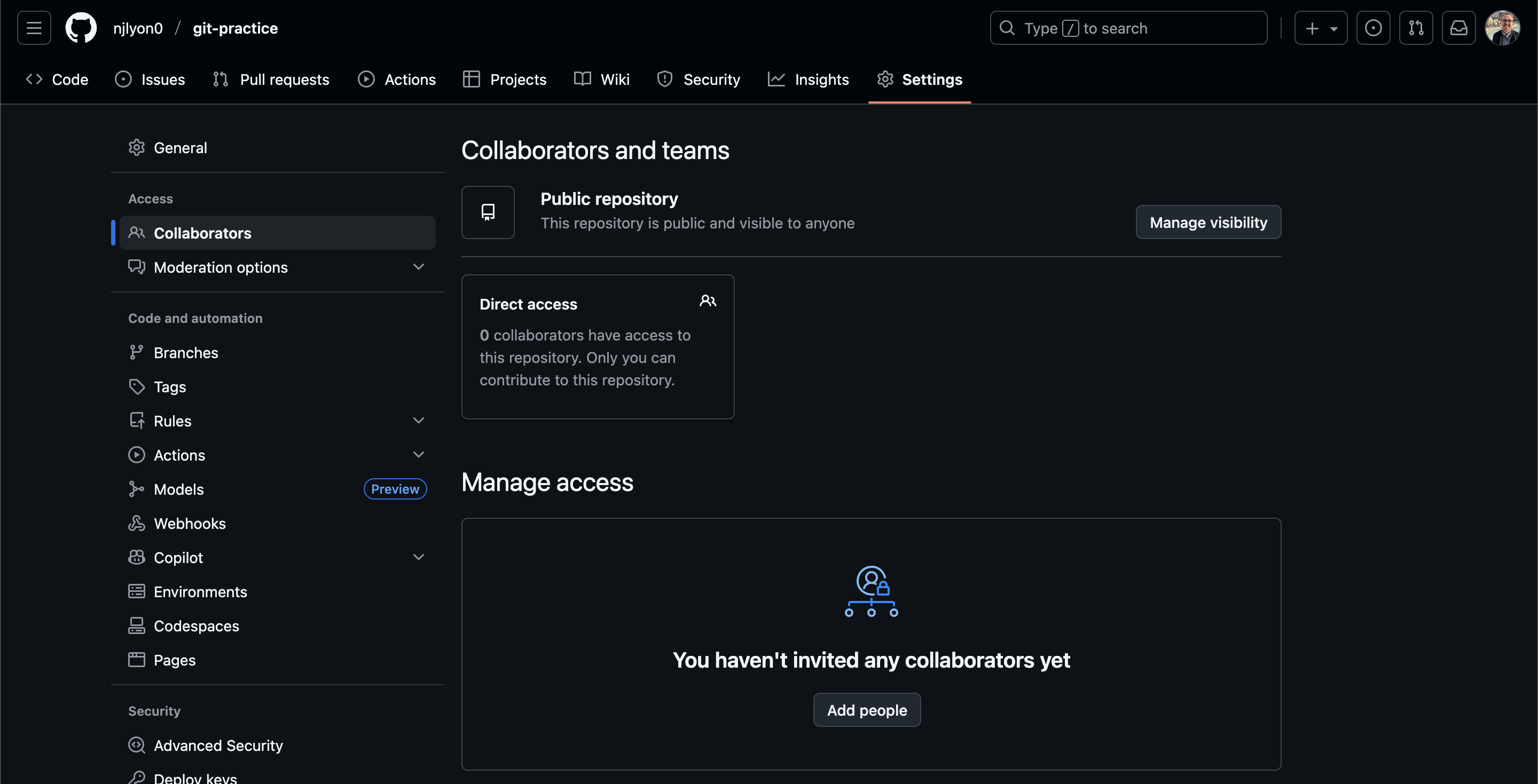 Screenshot of the 'settings' pane of the new repository shown in the prior image