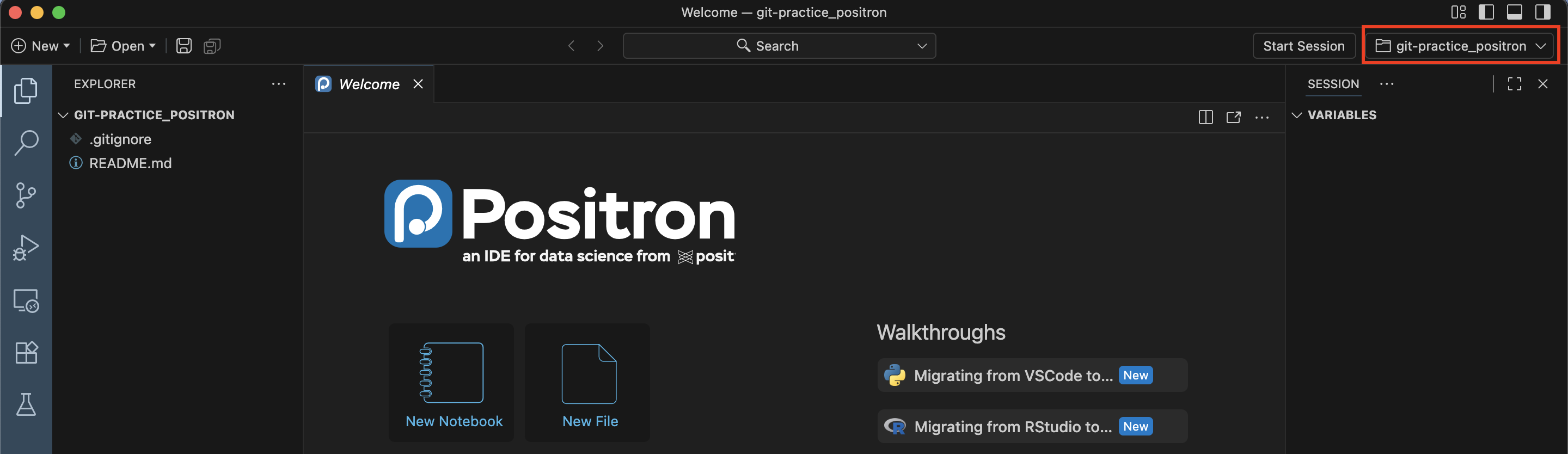 Screen capture of the Positron home page after cloning has been completed