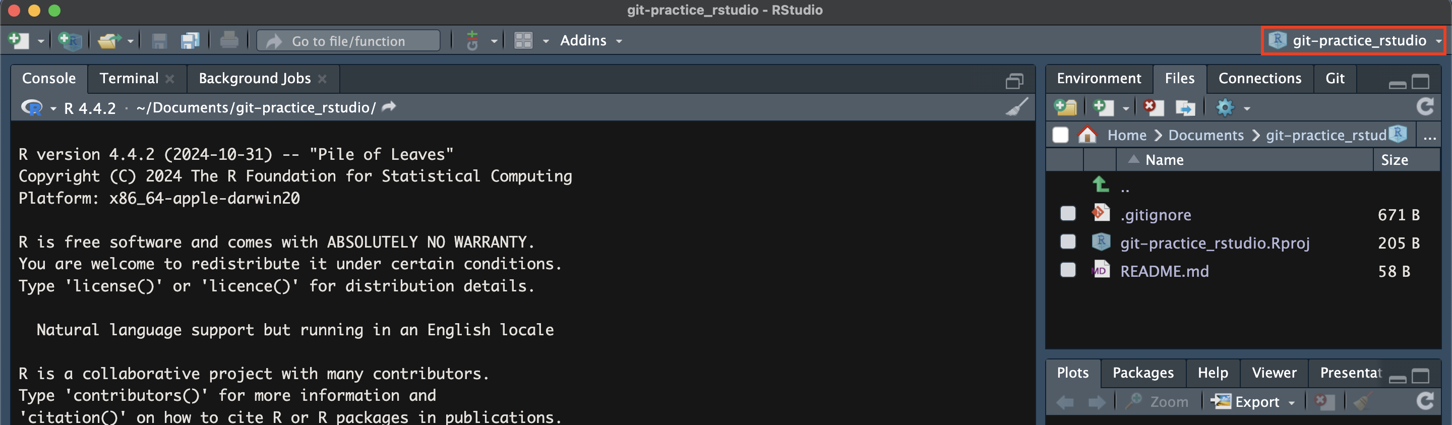 Screen capture of the RStudio home page after cloning has been completed