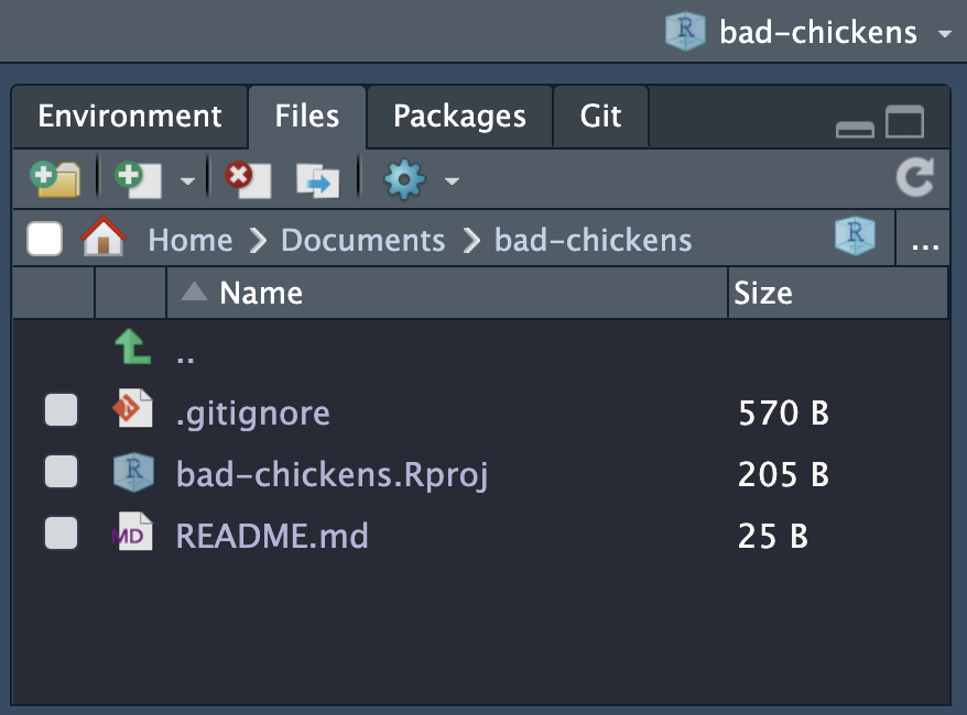 Screenshot of the 'files' pane in RStudio which includes the .Rproj file, the README, and the gitignore