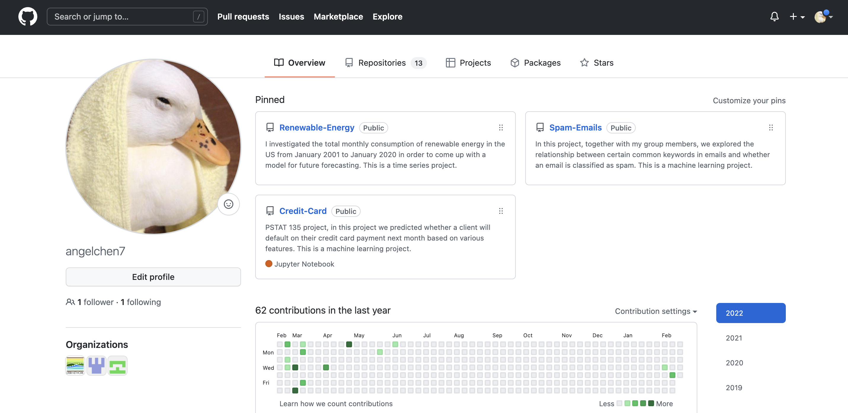 Screenshot of the landing page on a particular GitHub profile