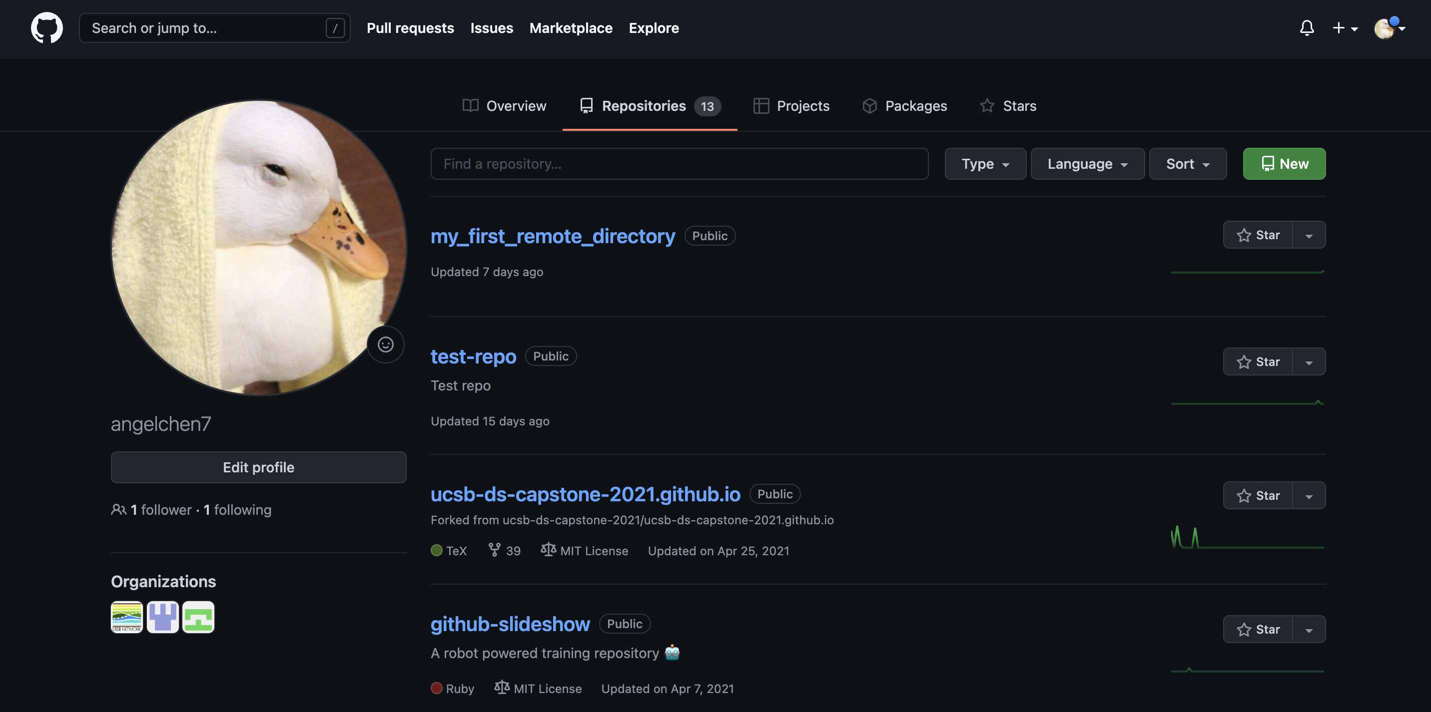 Screenshot of the 'repositories' tab of a user on GitHub