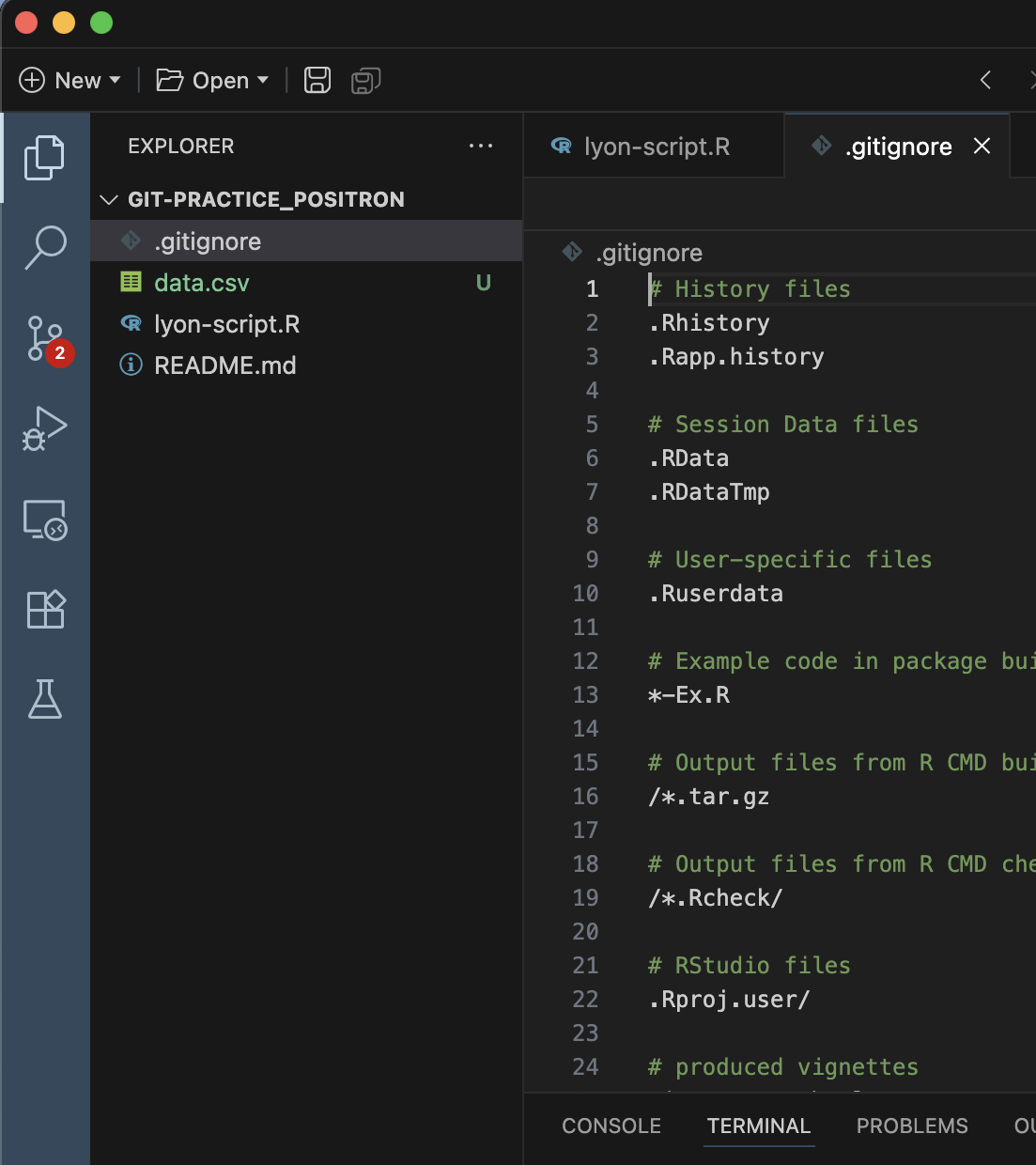 Screen capture of Positron with the R template '.gitignore' from GitHub open