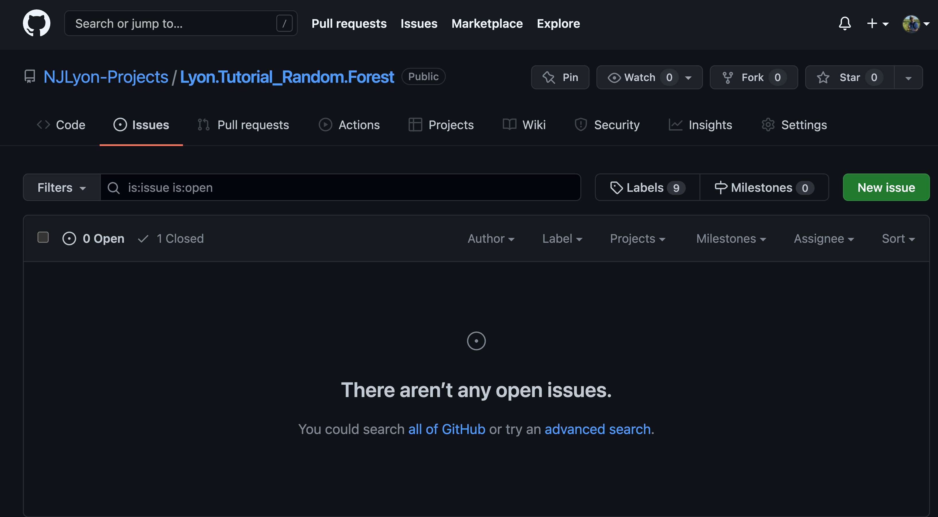 Screenshot of the 'issues' tab of a GitHub issue where there is one closed issue but no open ones