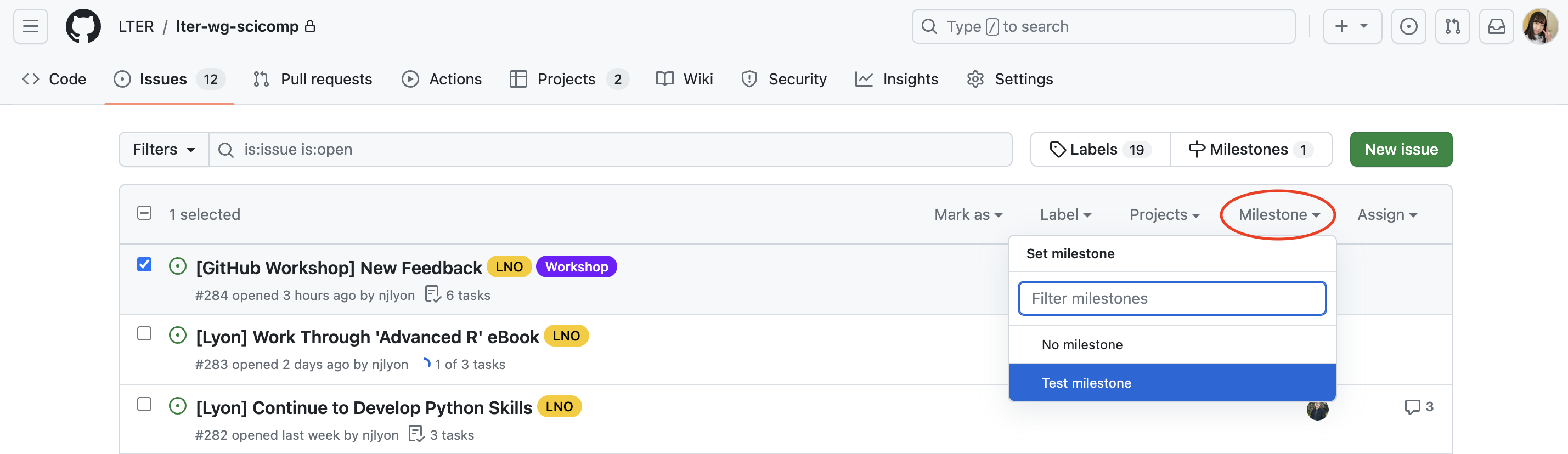 Screenshot of the issues tab in GitHub where you can filter issues by which milestone(s) an issue has been added to