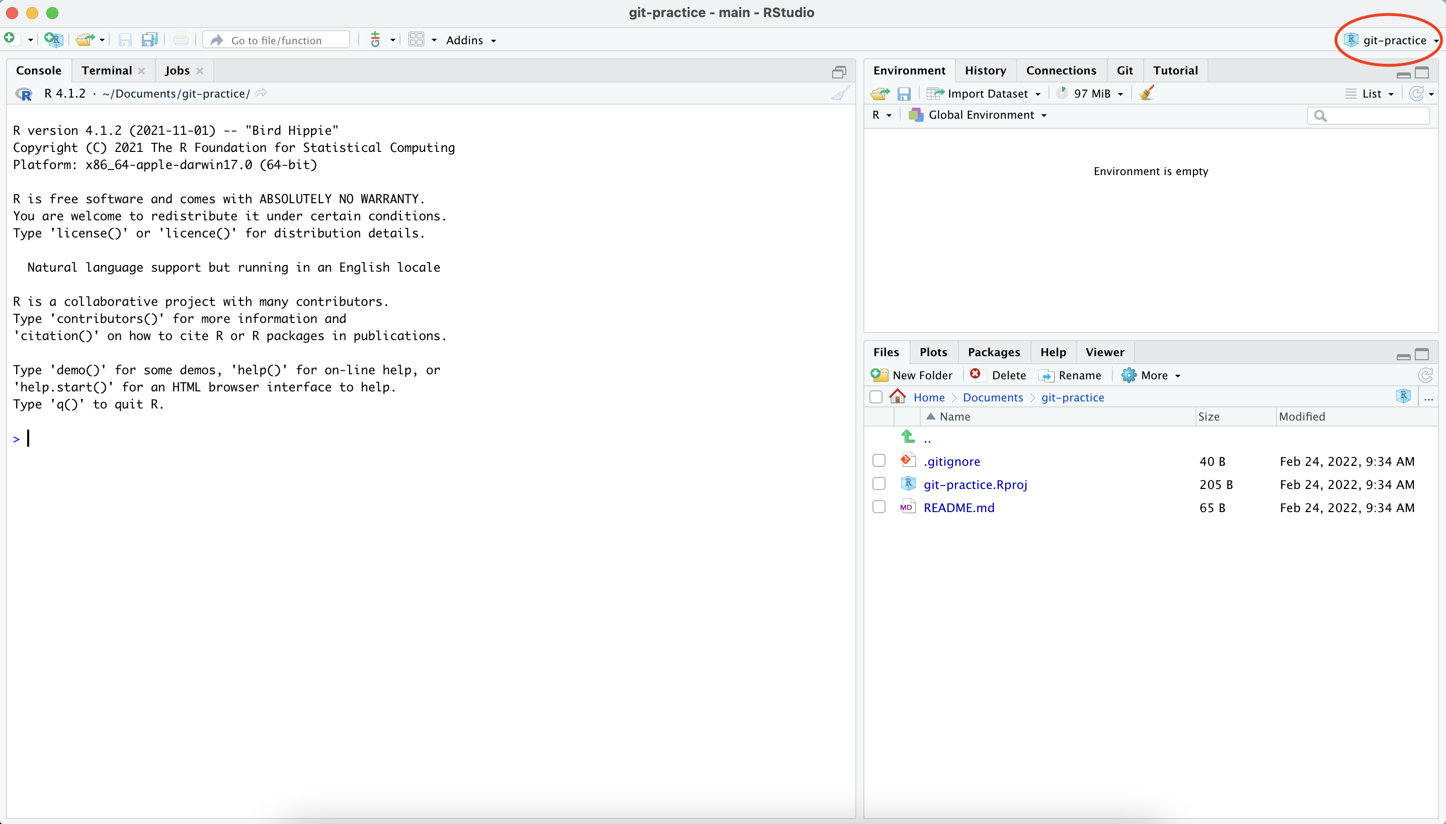 Screenshot of RStudio after a project has been selected. The project name--in the top right corner--is circled in red