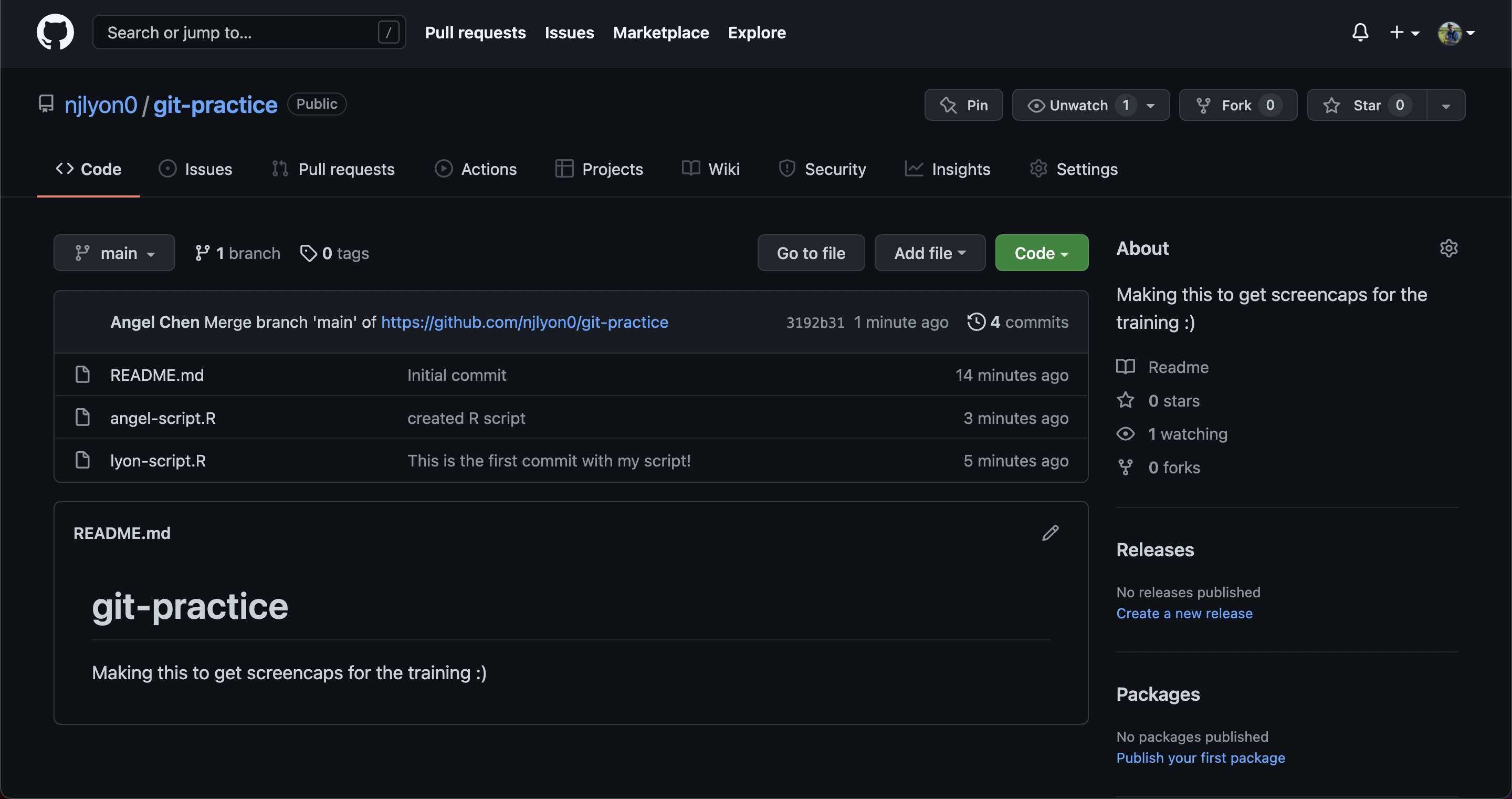 Screenshot of a GitHub repository with the commits made in earlier screenshots shown in its history