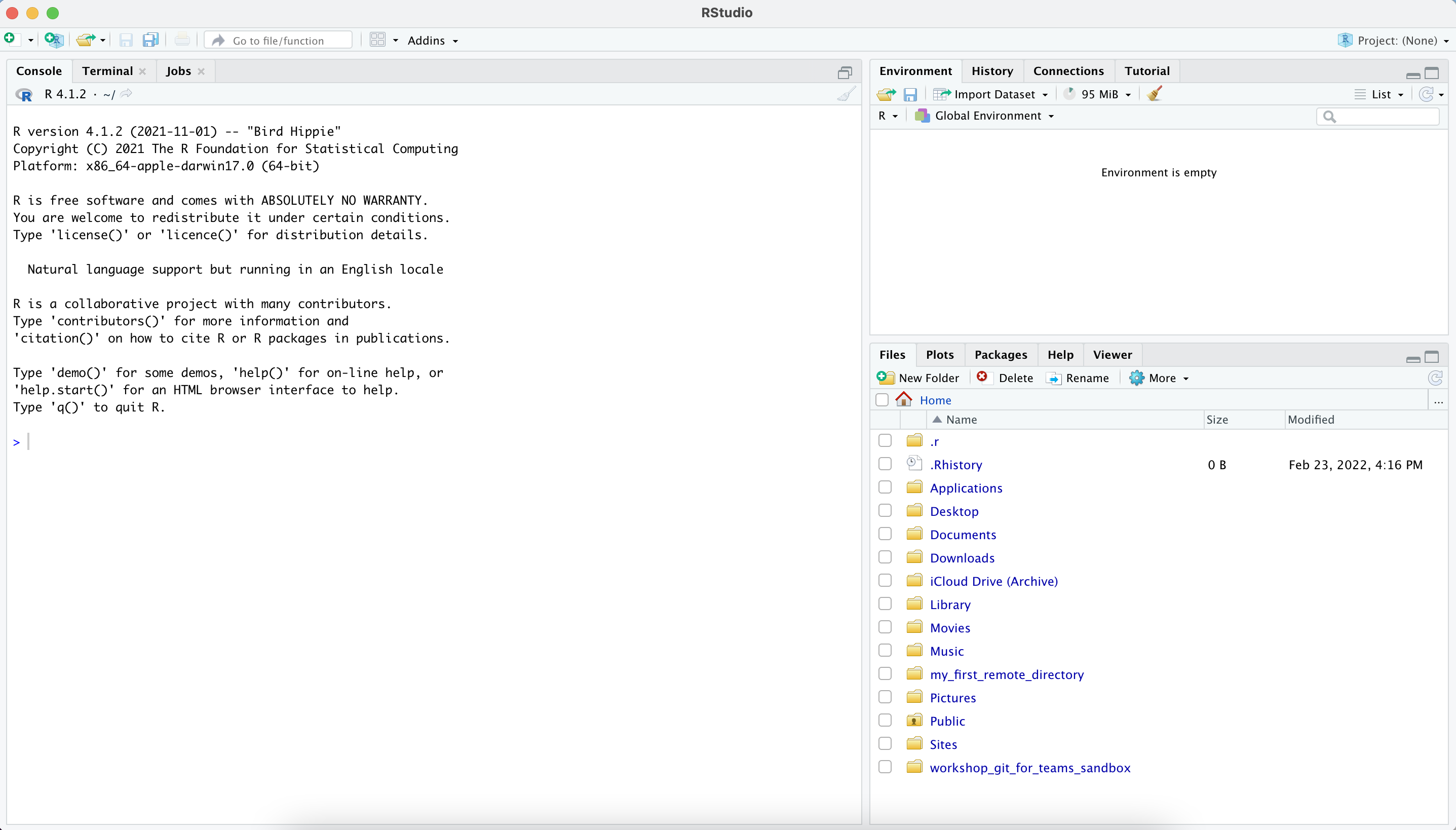 Screenshot of RStudio when no project or scripts are open