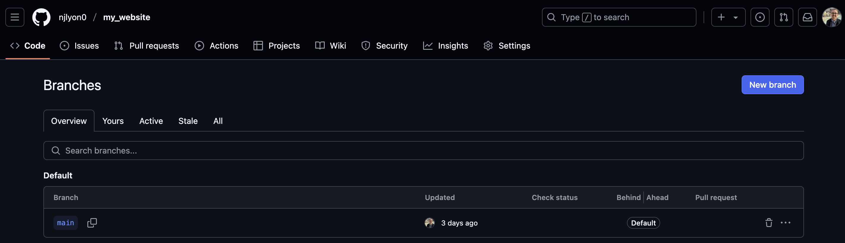 Screenshot of the page in a GitHub repostiory where all active branches can be viewed