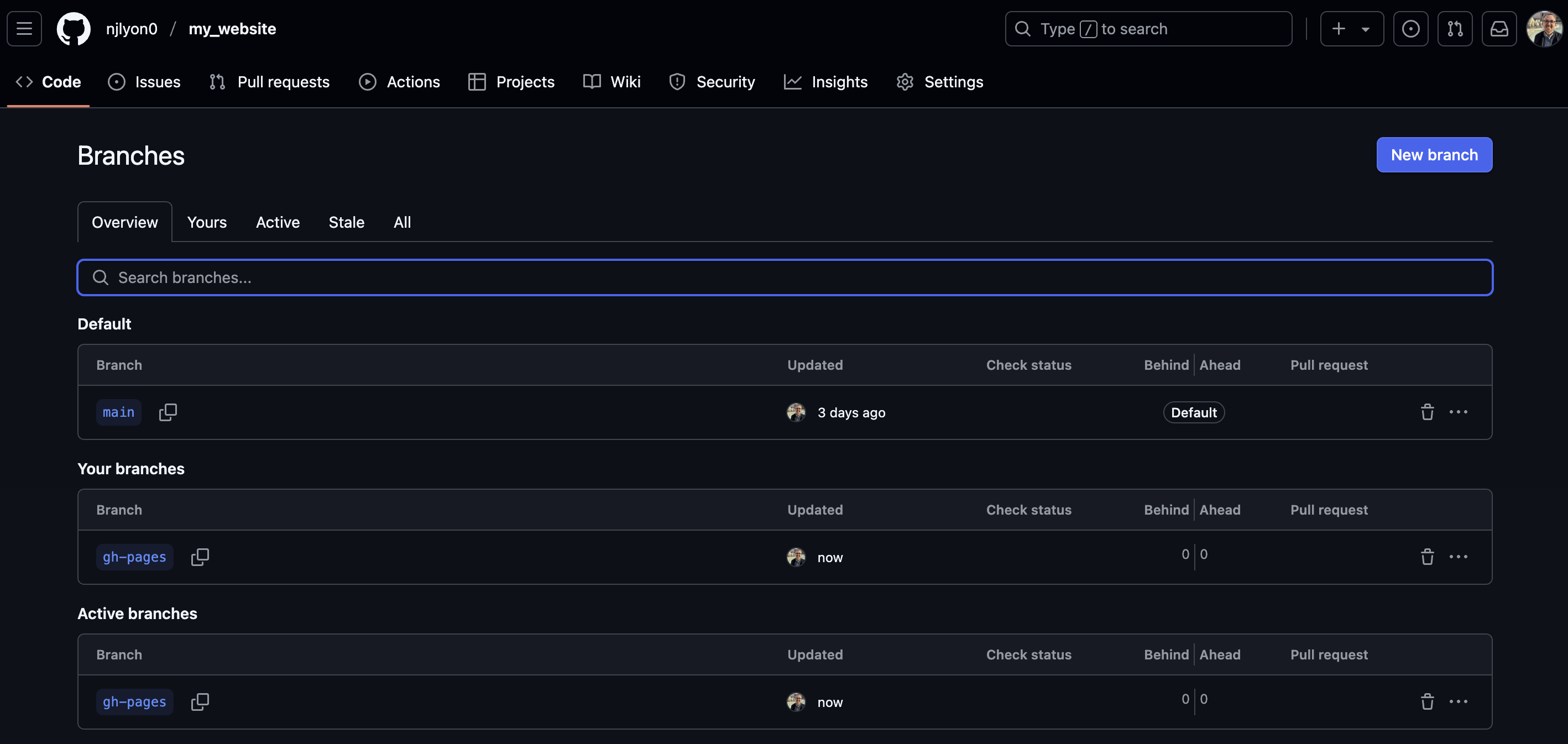 Screenshot of the page in a GitHub repostiory where all active branches can be viewed