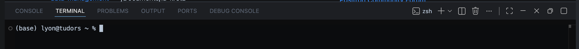 Screenshot of 'Terminal' pane of Positron