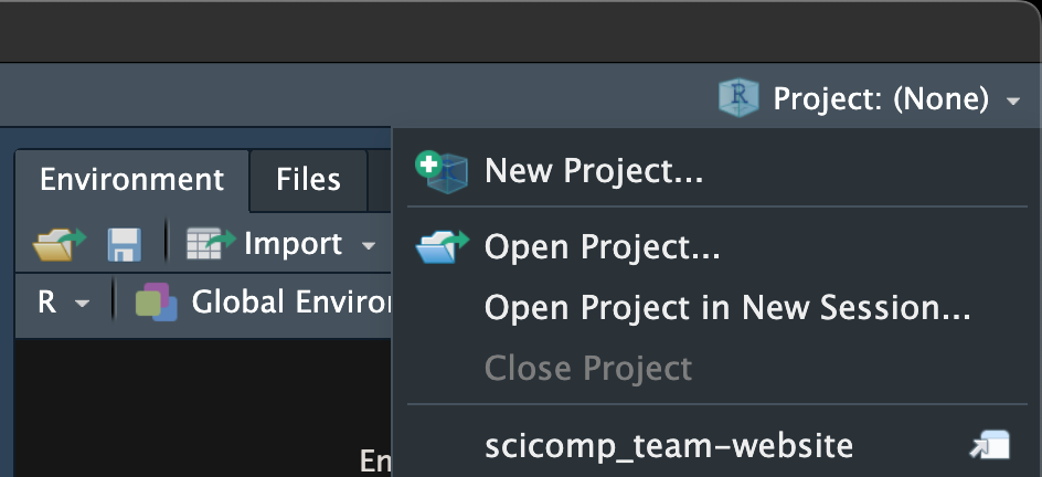 Screen capture of the top right corner of RStudio after the project button is clicked